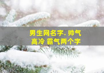 男生网名字. 帅气 高冷 霸气两个字